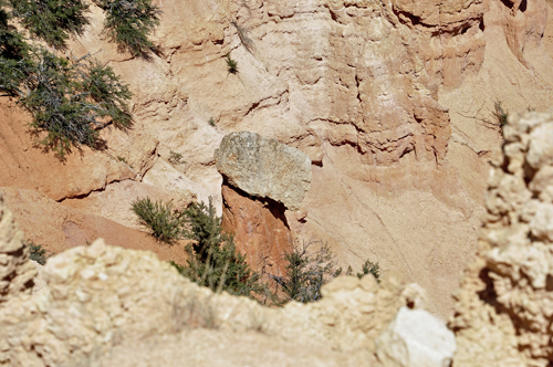 a "mushroom" hoodoo